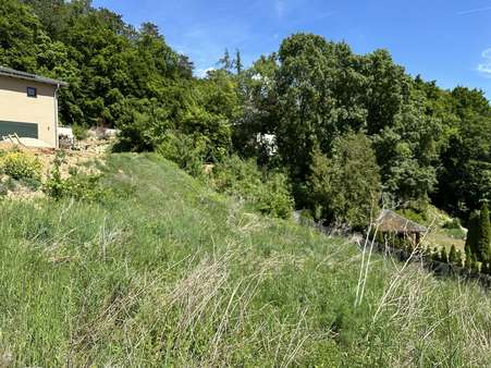 Ansicht - Grundstück in 93152 Nittendorf mit 931m² kaufen
