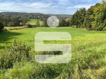 Baugrundstück mit Blick auf die Scharzach Auen!