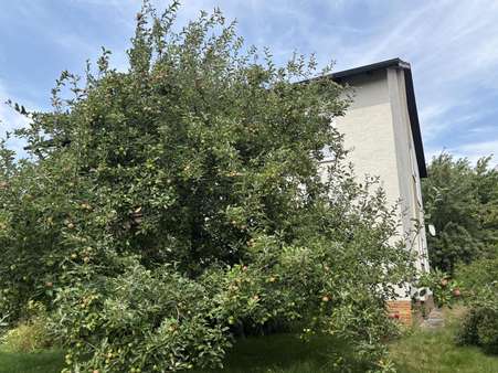 Obstbäume im Garten Obstbäume im Garten - Zweifamilienhaus in 92536 Pfreimd mit 200m² kaufen