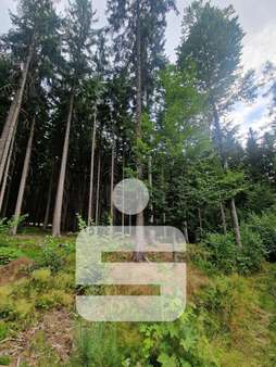 Wald Wald - Grundstück in 93464 Tiefenbach mit 9975m² kaufen