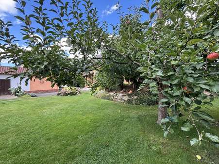 Schöner Garten mit Apfelbaum - Einfamilienhaus in 92421 Schwandorf mit 165m² kaufen