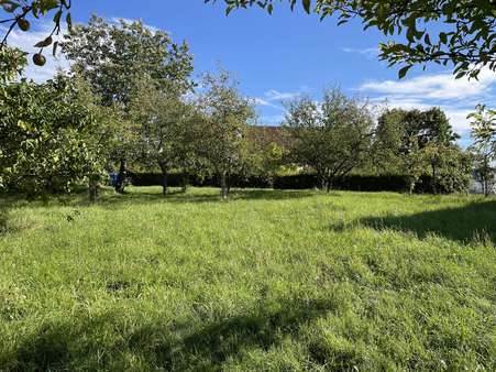 Garten Garten - Einfamilienhaus in 93346 Ihrlerstein mit 146m² kaufen
