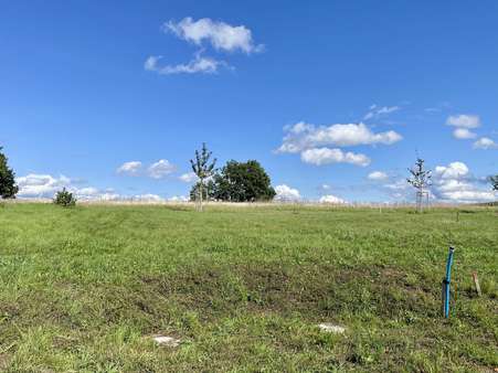 Blick auf das Baugrundstück - Grundstück in 84048 Mainburg mit 311m² kaufen