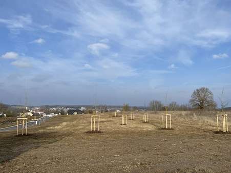 Blick auf das Baugebiet - Grundstück in 84048 Mainburg mit 312m² kaufen