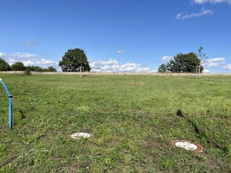 Blick auf das Baugrundstück - Grundstück in 84048 Mainburg mit 312m² kaufen