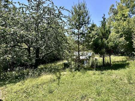 Garten - Ferienhaus in 92277 Hohenburg mit 45m² kaufen