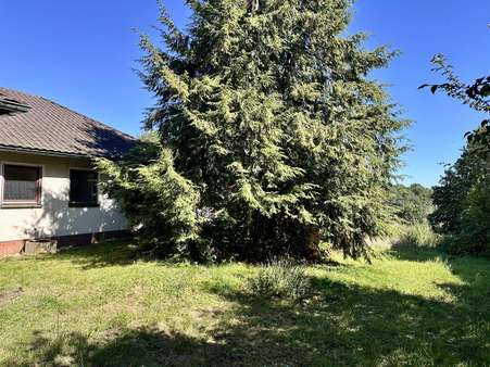 Garten Garten - Zweifamilienhaus in 92224 Amberg mit 208m² kaufen
