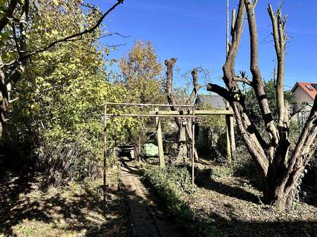 Garten Garten - Doppelhaushälfte in 92224 Amberg mit 141m² kaufen