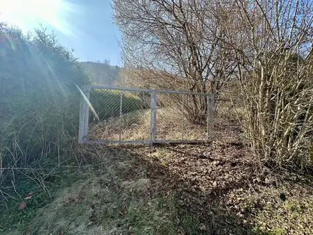 In viel Grün eingebettet! Baugrundstück in Pommelsbrunn-Nürnberger Land