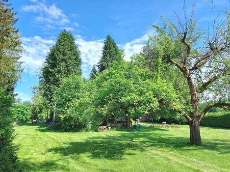 Grünfläche - Grundstück in 92637 Weiden mit 4293m² kaufen