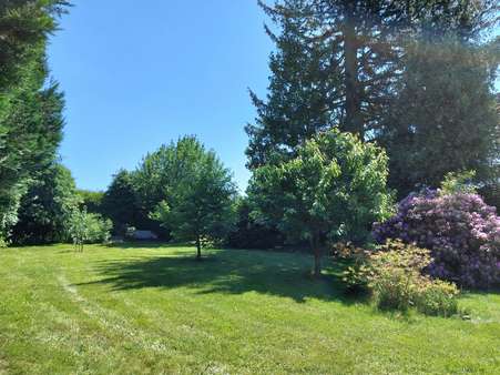 Grünfläche - Grundstück in 92637 Weiden mit 4293m² kaufen