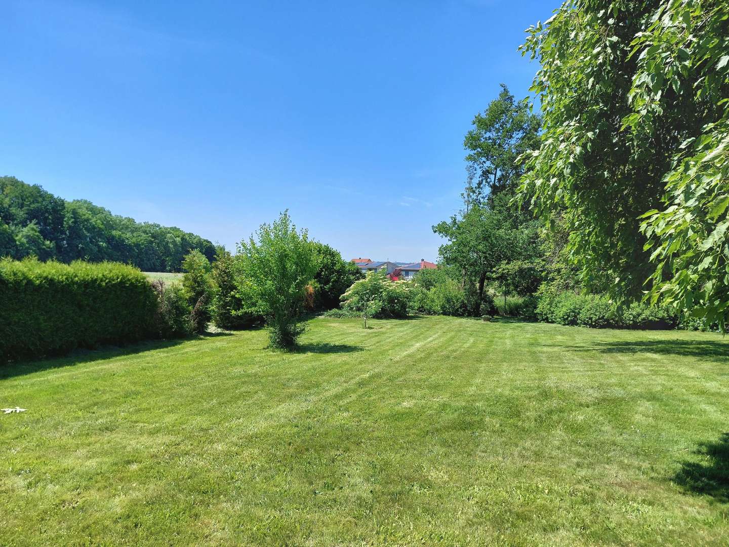 Grünfläche - Grundstück in 92637 Weiden mit 4293m² kaufen