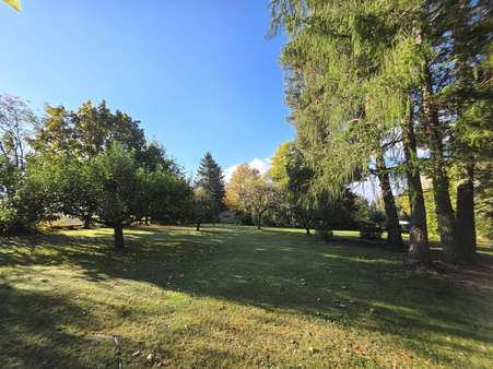 Garten Garten - Grundstück in 92637 Weiden mit 3419m² kaufen