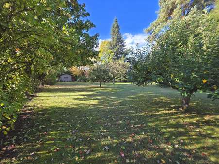 Garten Garten - Grundstück in 92637 Weiden mit 3419m² kaufen