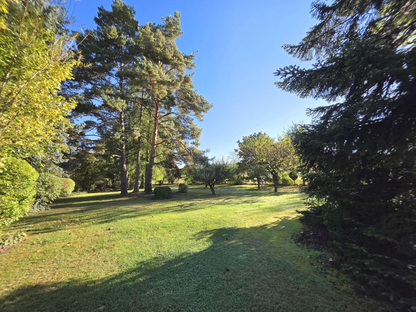 Garten Garten - Grundstück in 92637 Weiden mit 3419m² kaufen