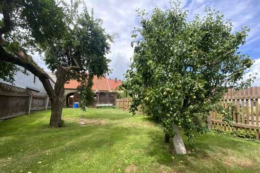Garten mit Obstbäumen - Reiheneckhaus in 95666 Mitterteich mit 149m² kaufen
