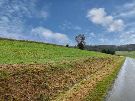 Ackerfläche - Grundstück in 92714 Pleystein mit 5812m² kaufen