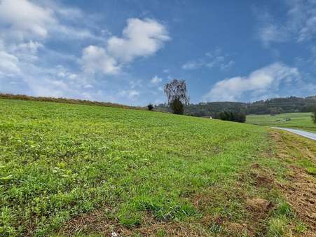 Ackerfläche - Grundstück in 92714 Pleystein mit 5812m² kaufen