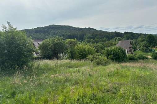 Aussicht Aussicht - Grundstück in 91241 Kirchensittenbach mit 652m² kaufen