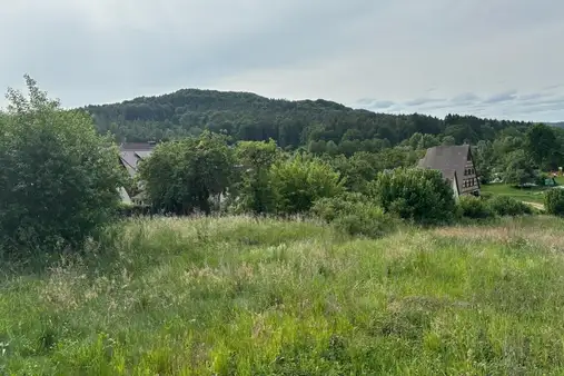Sonniges Baugrundstück in ruhiger Lage von Aspertshofen 