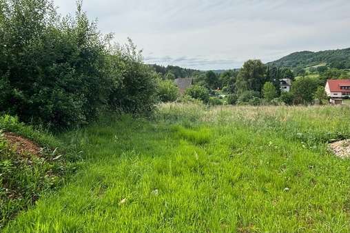 Westansicht Westansicht - Grundstück in 91241 Kirchensittenbach mit 652m² kaufen