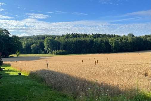 Grundstücksansicht Grundstücksansicht - Grundstück in 92259 Neukirchen mit 494m² kaufen