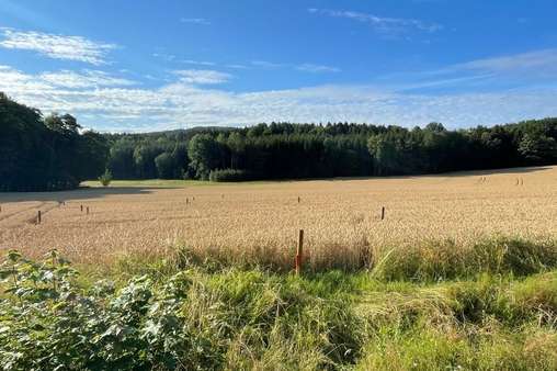 Grundstücksansicht Grundstücksansicht - Grundstück in 92259 Neukirchen mit 494m² kaufen