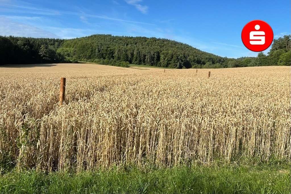 Grundstücksansicht Grundstücksansicht - Grundstück in 92259 Neukirchen mit 494m² kaufen