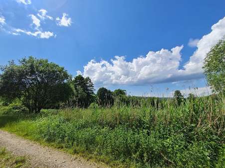 ... großflächigem Röhricht - Grundstück in 92334 Berching mit 5385m² kaufen