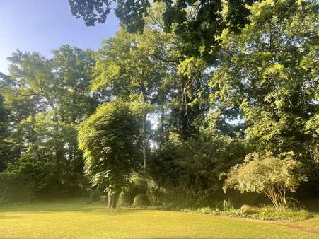 Blick Kastanie mit Gartenweg - Villa in 90768 Fürth mit 214m² kaufen