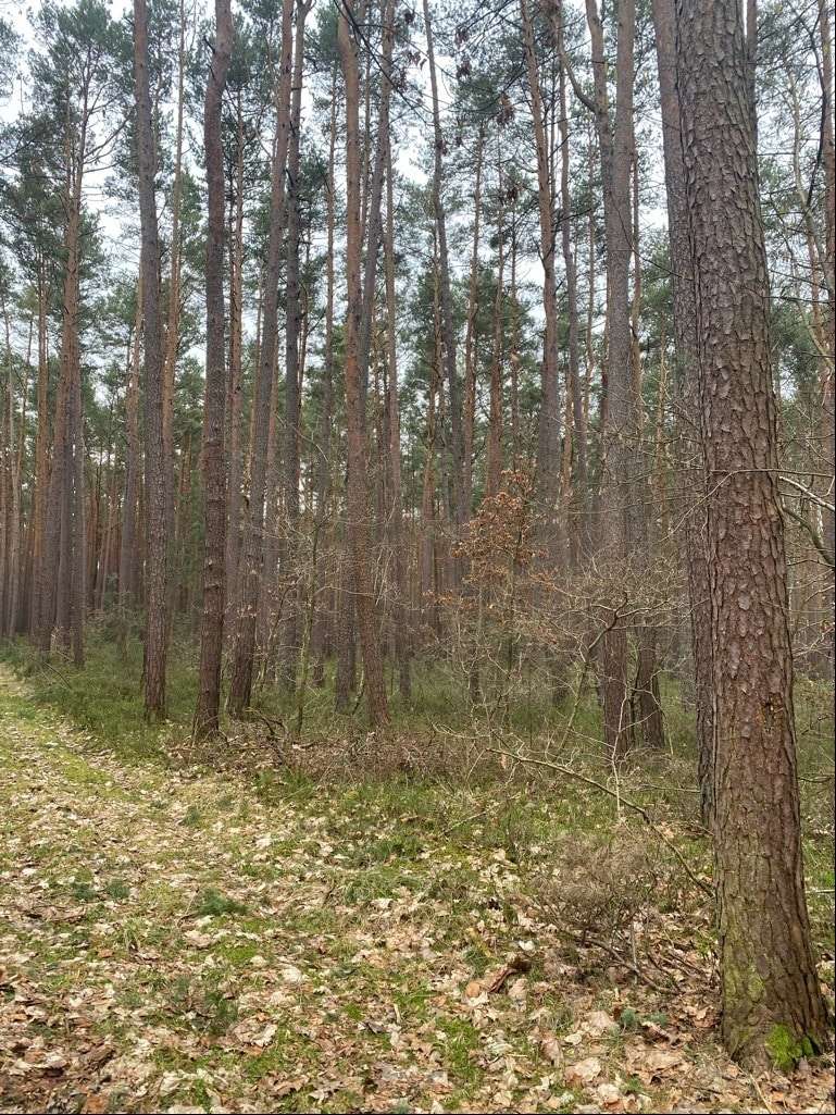 Ansicht - Sonstige Landwirtschaftsimmobilie in 90579 Langenzenn mit 0m² kaufen