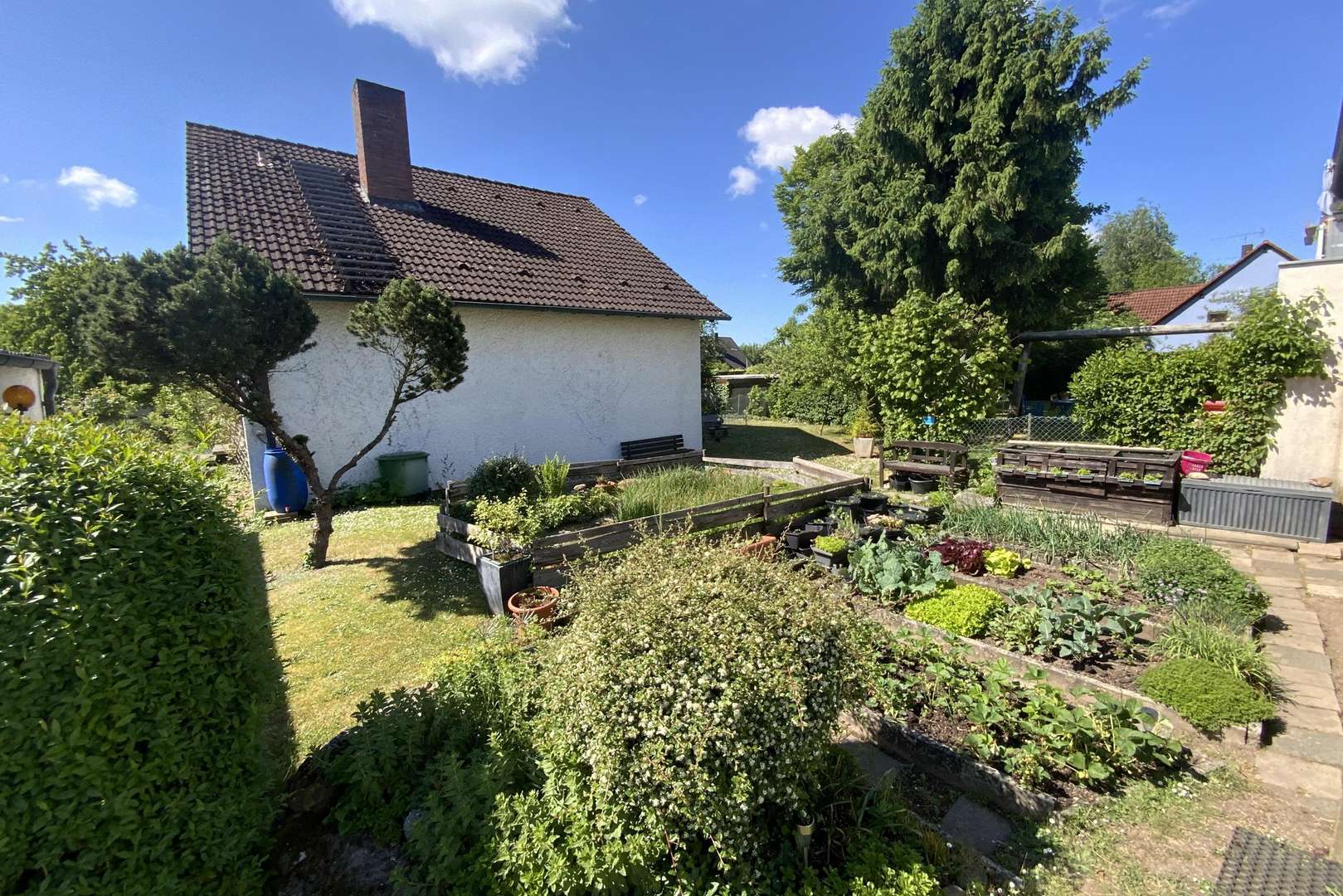 angelegter Selbstversorgergarten - Einfamilienhaus in 91301 Forchheim mit 137m² kaufen