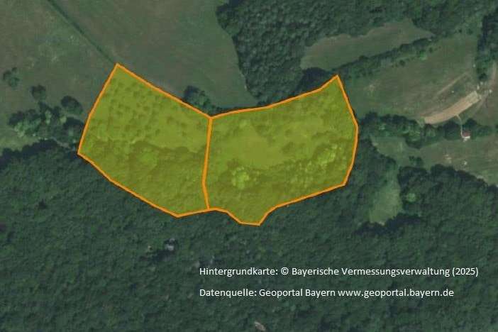 Luftbild mit Markierung - Grundstück in 91286 Obertrubach mit 18090m² kaufen