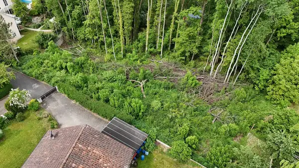 Idyllisches, großes Wohnbaugrundstück in Hanglage mit Waldfläche