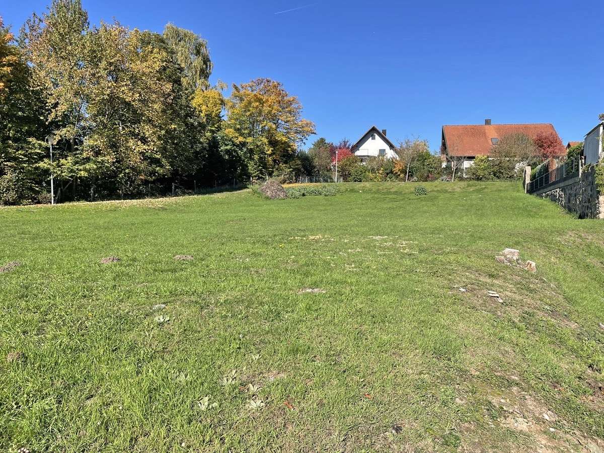 Außenansicht - Grundstück in 91166 Georgensgmünd mit 1563m² kaufen