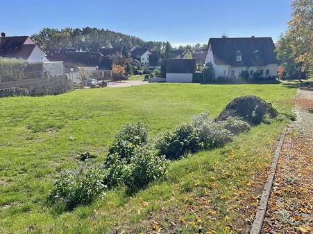 Außenansicht - Grundstück in 91166 Georgensgmünd mit 1563m² kaufen