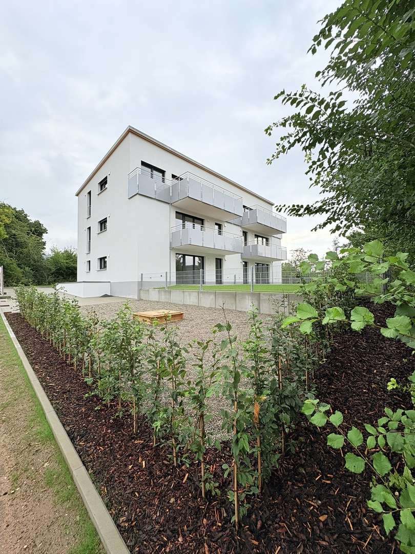 Außenansicht Südwest - Erdgeschosswohnung in 91807 Solnhofen mit 82m² kaufen