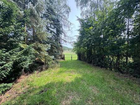 1. Zugang zum Grundstück 1. Zugang zum Grundstück - Grundstück in 91522 Ansbach mit 6975m² kaufen