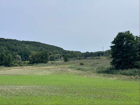 Aussicht auf Scheerweiher Aussicht auf Scheerweiher - Grundstück in 91522 Ansbach mit 6975m² kaufen