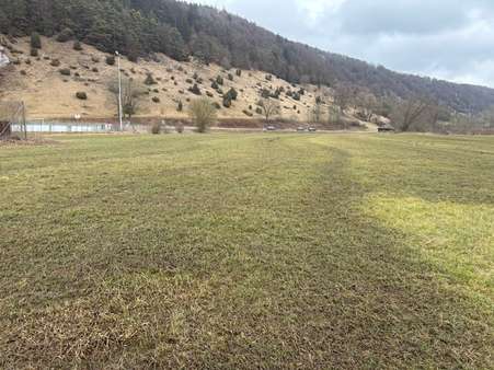 Ansicht Ansicht - Sonstige Landwirtschaftsimmobilie in 91795 Dollnstein mit 0m² kaufen