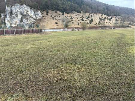 Ansicht Ansicht - Sonstige Landwirtschaftsimmobilie in 91795 Dollnstein mit 0m² kaufen