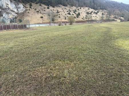 Ansicht Ansicht - Sonstige Landwirtschaftsimmobilie in 91795 Dollnstein mit 0m² kaufen