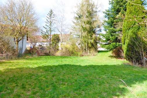 Außenansicht Außenansicht - Grundstück in 95466 Weidenberg mit 1483m² kaufen
