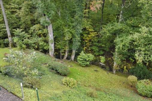 Blick in den Schloßpark vom Balkon aus - Einfamilienhaus in 95488 Eckersdorf mit 143m² kaufen