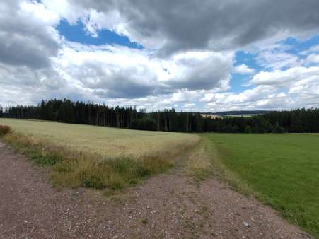Außenansicht Außenansicht - Grundstück in 95233 Helmbrechts mit 6557m² kaufen