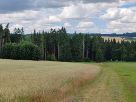 Außenansicht Außenansicht - Grundstück in 95233 Helmbrechts mit 6557m² kaufen