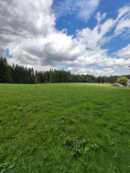 Außenansicht Außenansicht - Grundstück in 95233 Helmbrechts mit 9500m² kaufen