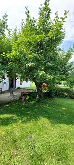 Vorgarten - Zweifamilienhaus in 95615 Marktredwitz mit 297m² kaufen