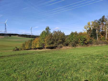 Außenansicht - Grundstück in 95213 Münchberg mit 3300m² kaufen