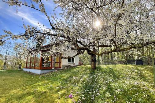Garten mit Nebengebäude Garten mit Nebengebäude - Einfamilienhaus in 96450 Coburg mit 205m² kaufen